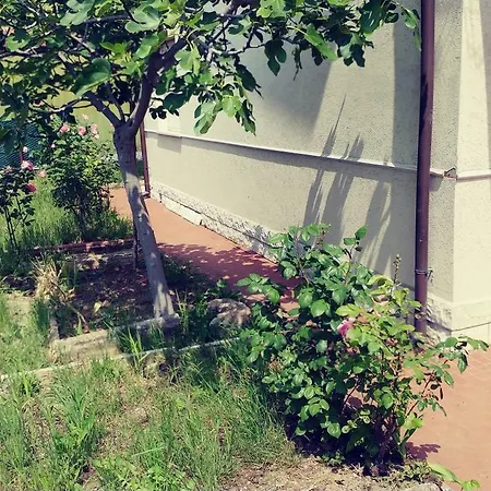 La Villetta Delle Rose Nyaraló *